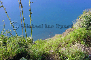 Highest Cliff in Europe